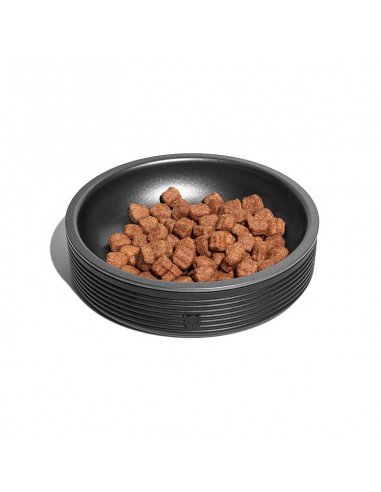  ZeeCat Duo Bowl - Comederos y Bebederos para Gatos - Puppies House